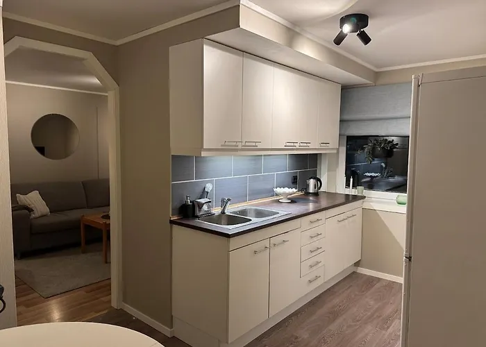 Cozy In The Center Svolvær